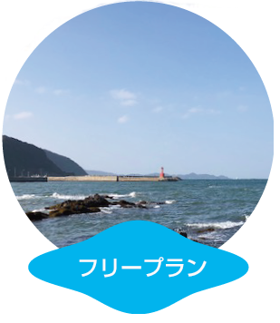フリープラン